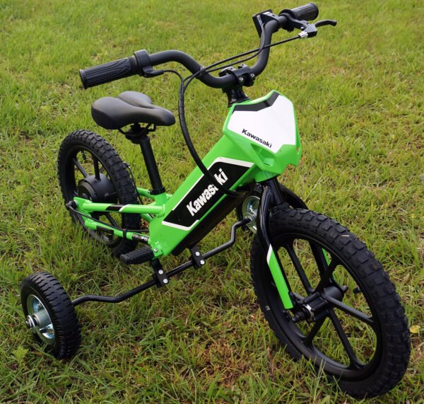 Universal Training Wheels™ for Kawasaki® Electrode™ electric bike.