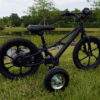 Training Wheels for Orion RXB-eForce e12x & e16x and Pūr-Speed 12" Electric Motorcycles
